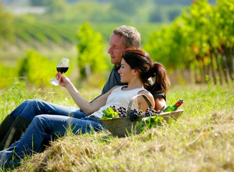 Južná Morava stojí za preskúmanie. Dovolenka v hoteli Čech*** v pokojnej časti Břeclavi, len kúsok od Lednicko-valtického areálu.   