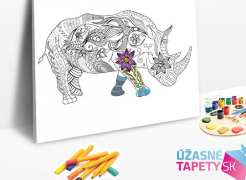 Antistresový obraz na plátne. Fenomén, ktorému podľahol už celý svet. Zaveste si doma na stenu niečo, čoho súčasťou ste vy samotný.