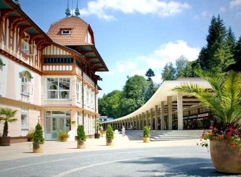 Doprajte si zaslúžený oddych a spoznajte očarujúce Luhačovice. Pobyt pre dvoch na 3 a viac dní s ubytovaním v centre v penzióne Růža***.