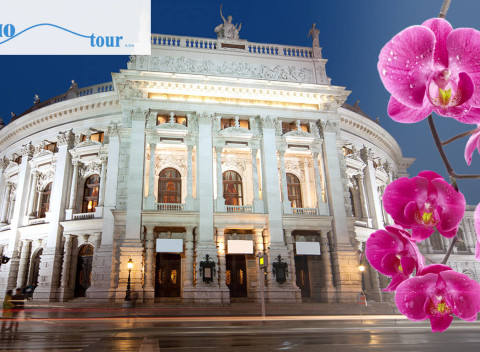 Viedeň: Zájazd na výstavu orchideí a tillandsií, ktorý vám do života vnesie kus exotiky.