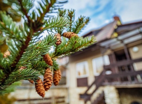 Valentínsky pobyt pre 2 osoby s celodenným vstupom do AquaCity Poprad.