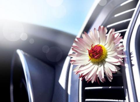 Limitovaná ponuka na servis klimatizácie – za zvýhodnenú cenu iba pre prvých 30 zákazníkov. Kompletný servis klimatizačného systému vozidla.