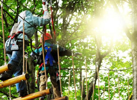 Vstup do lanového centra na Kolibe. Urobte si rodinný výlet a zdolajte množstvo prekážok v korunách stromov určených deťom i veľkým.