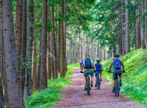Vysočina s polpenziou, masážou a privátnou vírivkou v rodinnej Chalupe Sofie.