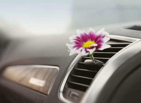 Plnenie klimatizácie chladivom vrátane materiálu. Platí pre všetky osobné autá.