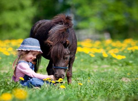 S koníkmi je život krajší – týždenný tábor, rodinný pobyt či individuálne jazdy. Posaďte sa na koňa a nechajte sa unášať krásnou prírodou.