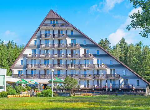 Vysočina pri CHKO Žďárske vrchy v Hoteli SKI *** s polpenziou a wellness s bazénom.