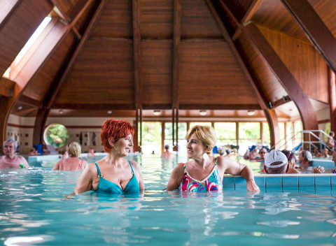 Maďarsko v Komfort Hoteli Platán *** so vstupom do termálnych kúpeľov Harkány, polpenziou.