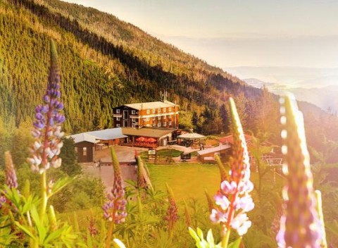 Jedinečná horská atmosféra, turistika a relax vo wellness v Horskom Hoteli Srdiečko na Chopku.