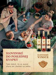 61. stránka Tesco letáku