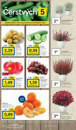 12. stránka Tesco letáku