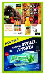 27. stránka Tesco letáku