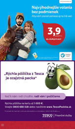 46. stránka Tesco letáku