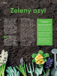 70. stránka Tesco letáku