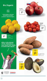 6. stránka Tesco letáku