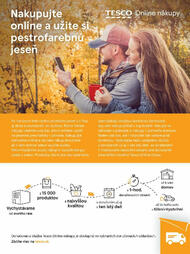 49. stránka Tesco letáku