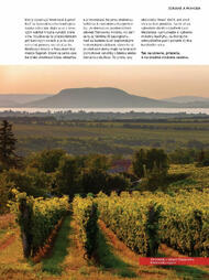 89. stránka Tesco letáku