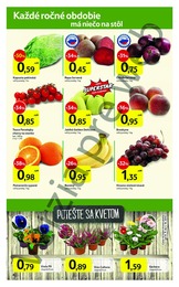 4. stránka Tesco letáku