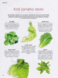 42. stránka Tesco letáku