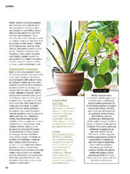 96. stránka Tesco letáku