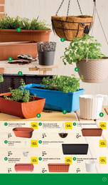 11. stránka Tesco letáku