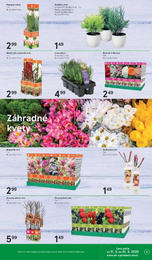 9. stránka Tesco letáku