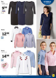 31. stránka Lidl letáku