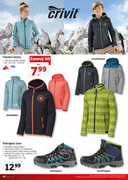 44. stránka Lidl letáku