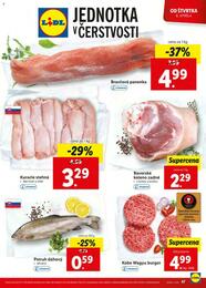 48. stránka Lidl letáku