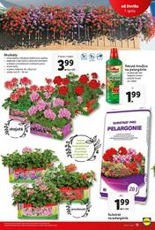 35. stránka Lidl letáku