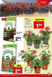 29. stránka Lidl letáku