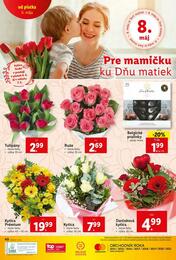 36. stránka Lidl letáku