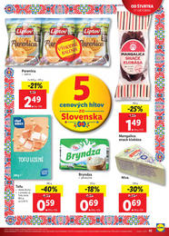 45. stránka Lidl letáku