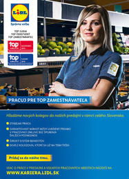 41. stránka Lidl letáku