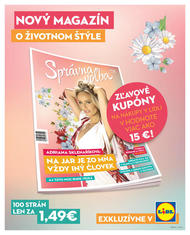38. stránka Lidl letáku