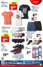 29. stránka Lidl letáku