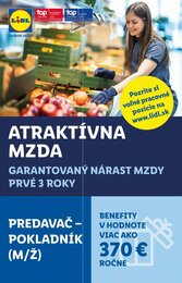 37. stránka Lidl letáku