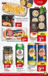 9. stránka Lidl letáku