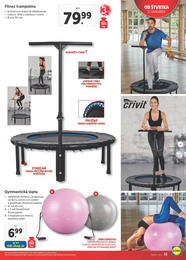 33. stránka Lidl letáku