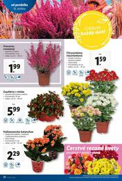 27. stránka Lidl letáku