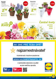 23. stránka Lidl letáku