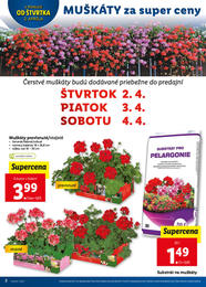 2. stránka Lidl letáku