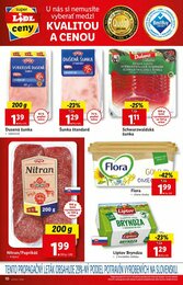 10. stránka Lidl letáku