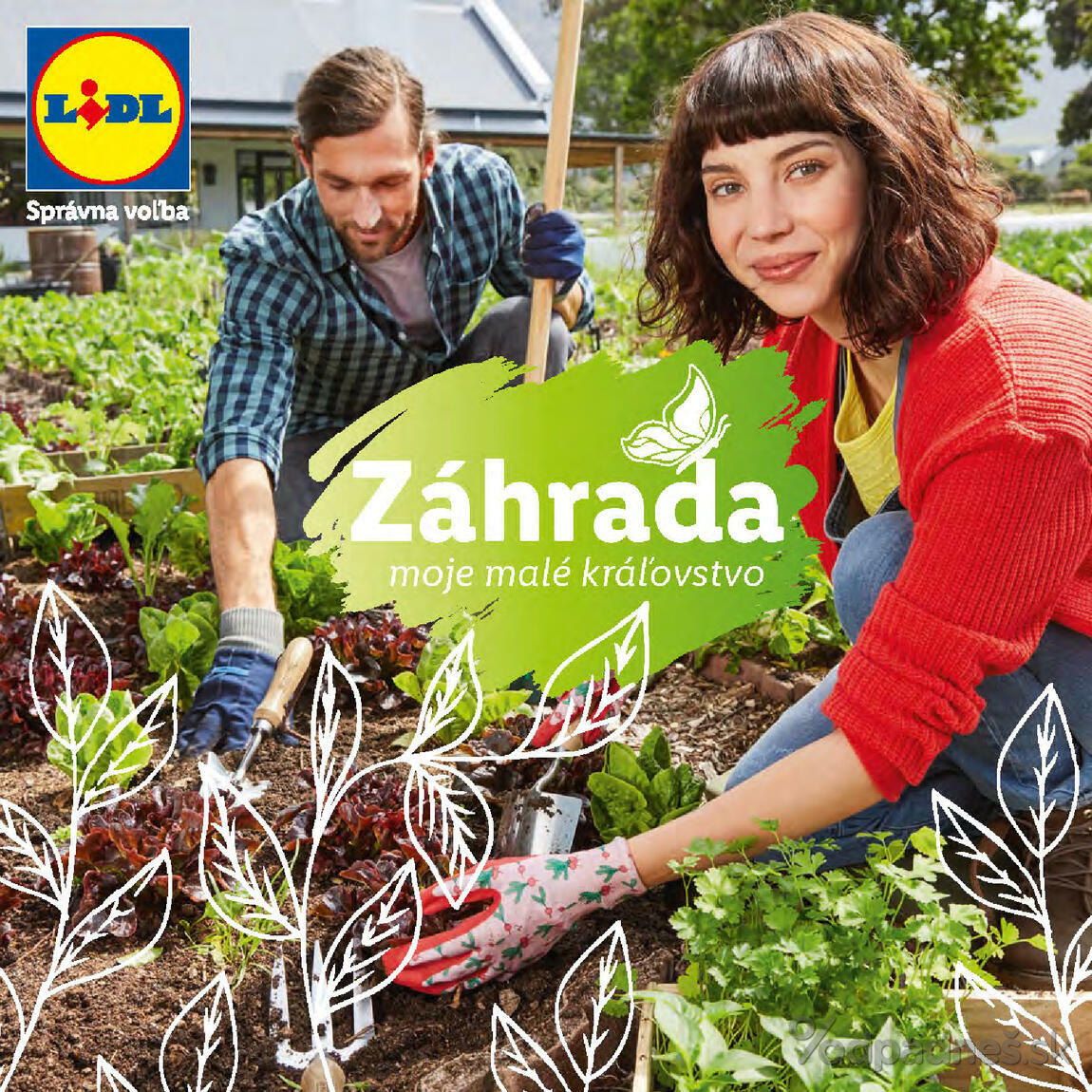 1. stránka Lidl letáku