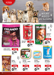 42. stránka Lidl letáku