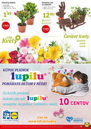 47. stránka Lidl letáku