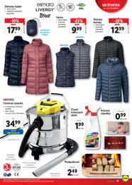 41. stránka Lidl letáku