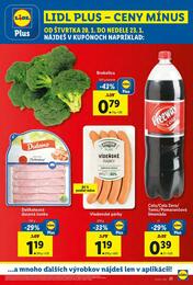 21. stránka Lidl letáku