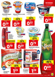 49. stránka Lidl letáku