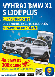 10. stránka Lidl letáku